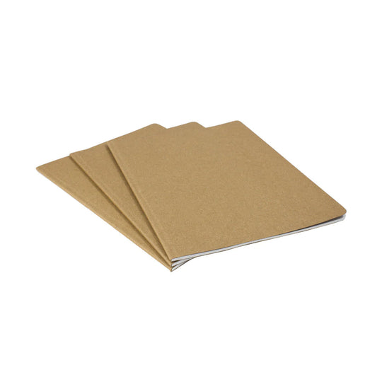 Big Ideas Journal 8 x 10